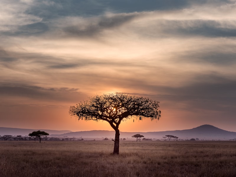 Grand Namibia Safari